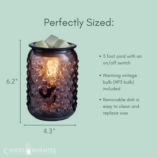 Smokey Hobnail Vintage Bulb Illumination Wax Fragrance Warmer