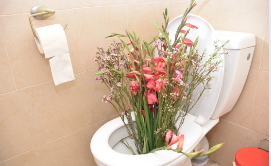 Toilet Sprays